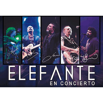 Elefante Concerts in Minneapolis